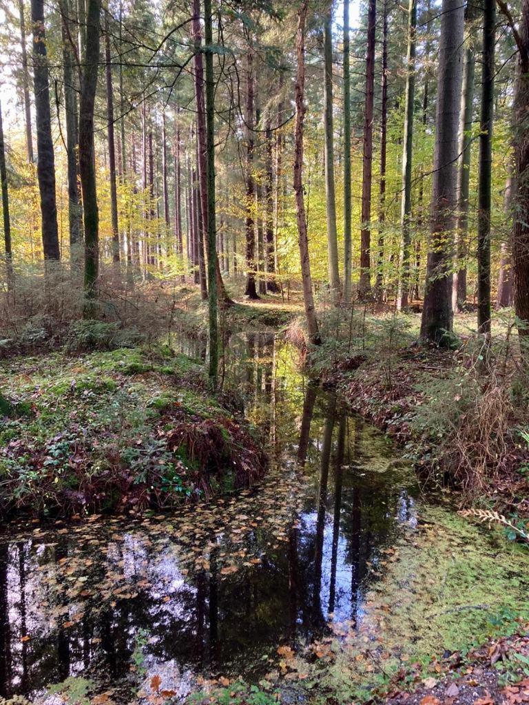 Apartment Vier Jahreszeiten Pilsum Krummhörn 外观 照片